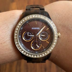 Fossil Tortoise Watch